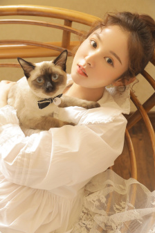 十二猴子第一季天天美剧